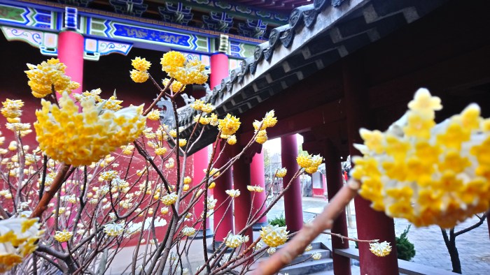 Vers om de geschriften af te&nbsp;ronden